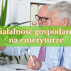 Dwóch starszych panów przy biurku, jeden w okularach, analizuje coś na komputerze. Działalność gospodarcza na emeryturze kwitnie.