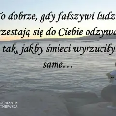 Cytaty o ludziach fałszywych: dobrze, gdy przestają się odzywać, jakby śmieci same się wyrzuciły. Widok na morze i sylwetka osoby.