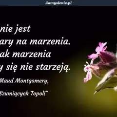 Nikt nie jest za stary na marzenia. Cytaty o marzeniach i celach przypominają, że marzenia nigdy się nie starzeją. Kwiaty na tle.
