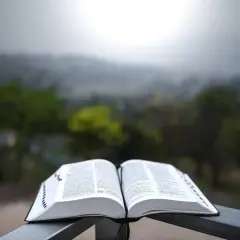 Otwarta księga na tle mglistego krajobrazu. Wartościowe zmiany cytaty inspirują do refleksji.