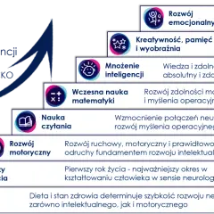 8 kroków rozwoju inteligencji: od emocji i kreatywności po naukę czytania i matematyki, budując fundamenty dla rozwoju neurologicznego.