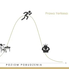 Prawo Yerkesa-Dodsona: zbyt niski poziom pobudzenia to nuda, optymalny to szczyt wydajności, a zbyt wysoki to stres, np. przed wystąpieniami publicznymi.