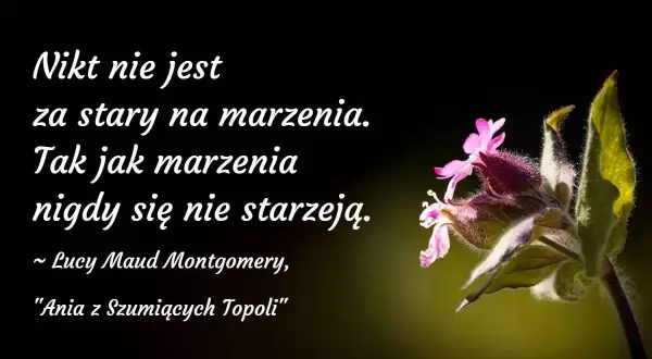 Nikt nie jest za stary na marzenia. Cytaty o marzeniach i celach przypominają, że marzenia nigdy się nie starzeją. Kwiaty na tle.