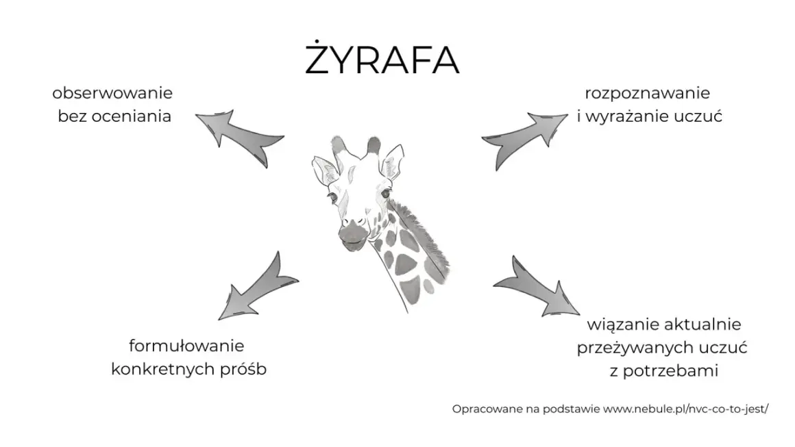 Ilustracja przedstawia głowę żyrafy otoczoną czterema strzałkami, symbolizującymi obserwację, rozpoznawanie uczuć, formułowanie próśb i wiązanie uczuć z potrzebami. Szakal nie jest widoczny.