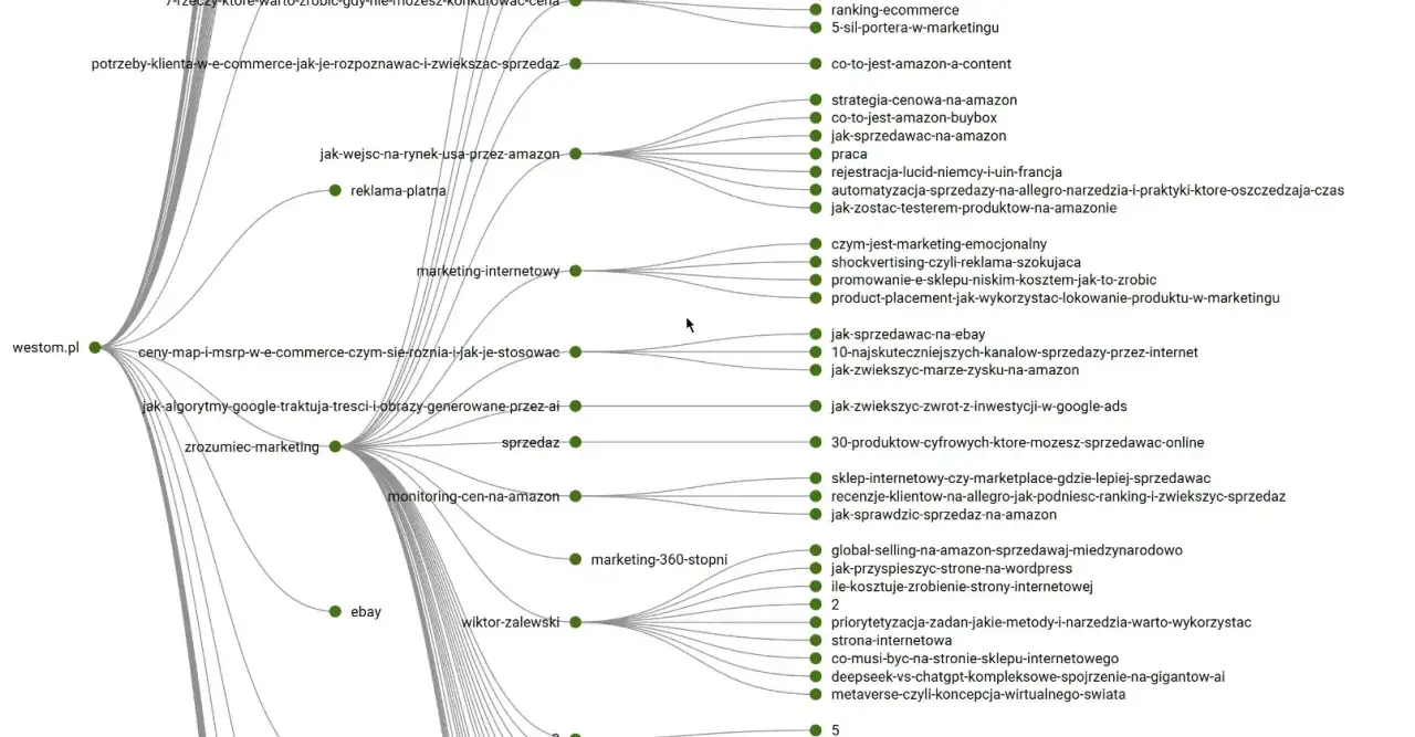 Wykres przedstawia powiązane tematy dotyczące wyszukiwania informacji w internecie, m.in. strategii sprzedaży na Amazonie i e-commerce.