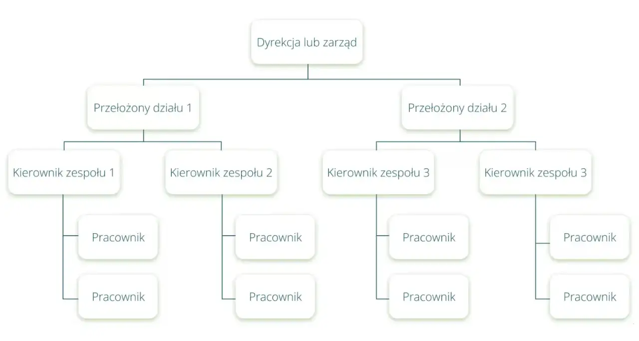 Schemat organizacyjny firmy, ukazujący komunikację pionową od dyrekcji przez przełożonych dział&oacute;w i kierownik&oacute;w zespoł&oacute;w do pracownik&oacute;w.