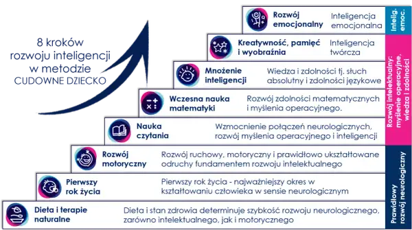 8 kroków rozwoju inteligencji: od emocji i kreatywności po naukę czytania i matematyki, budując fundamenty dla rozwoju neurologicznego.
